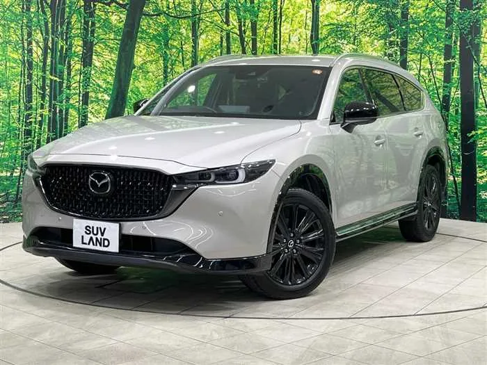 Mazda CX-8 2023 — фото 1, купить с доставкой в Москву