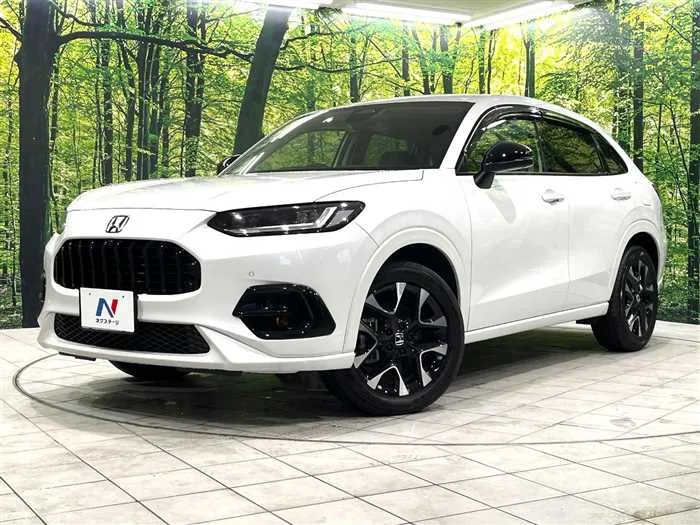 Honda Honda Others 2024 — фото 1, купить с доставкой в Москву
