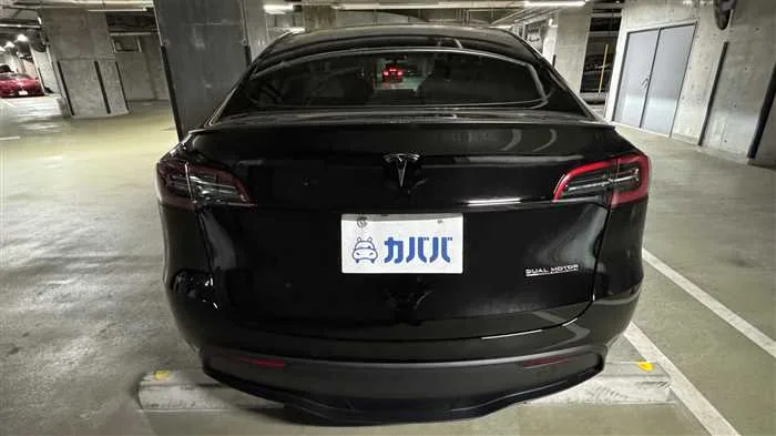 Tesla Motors Others 2024 — миниатюра 4