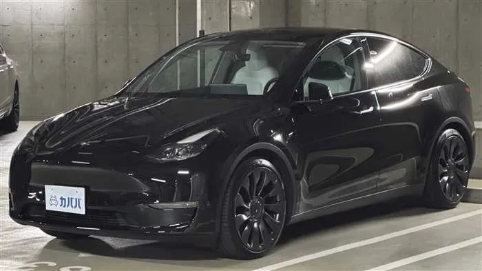 Tesla Motors Others 2024 — фото 1, купить с доставкой в Москву