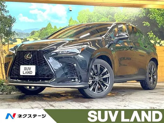 Lexus NX 2022 — фото 1, купить с доставкой в Москву