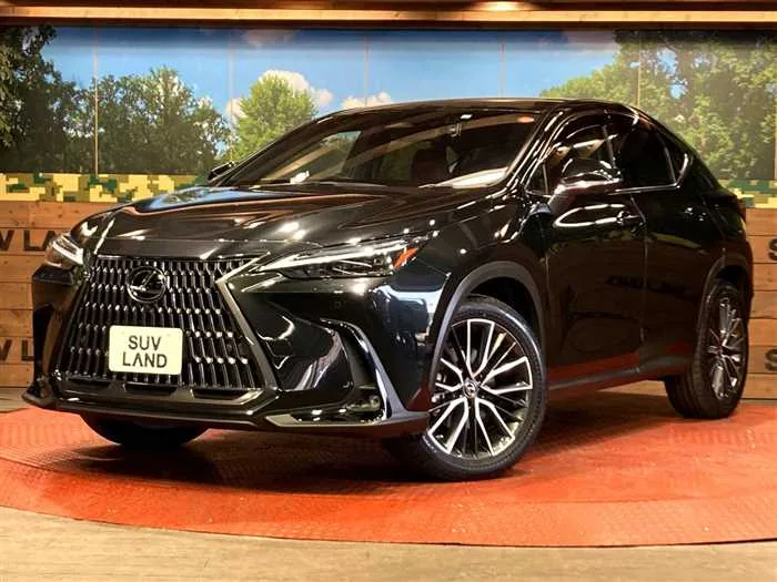 Lexus NX 2023 — фото 1, купить с доставкой в Москву