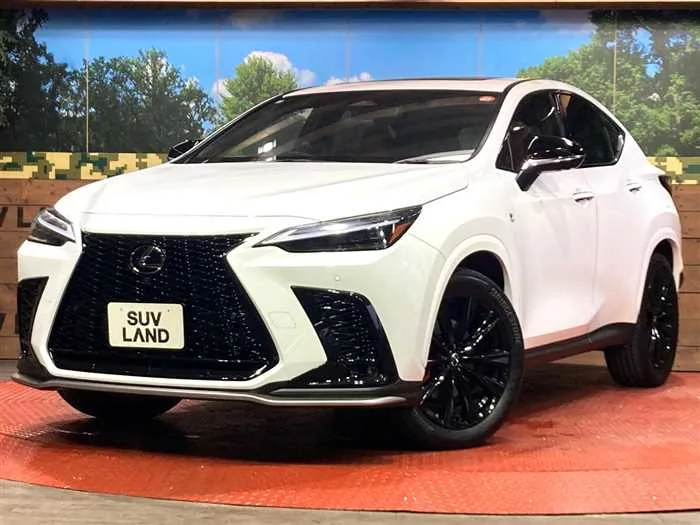 Lexus NX 2023 — фото 1, купить с доставкой в Москву