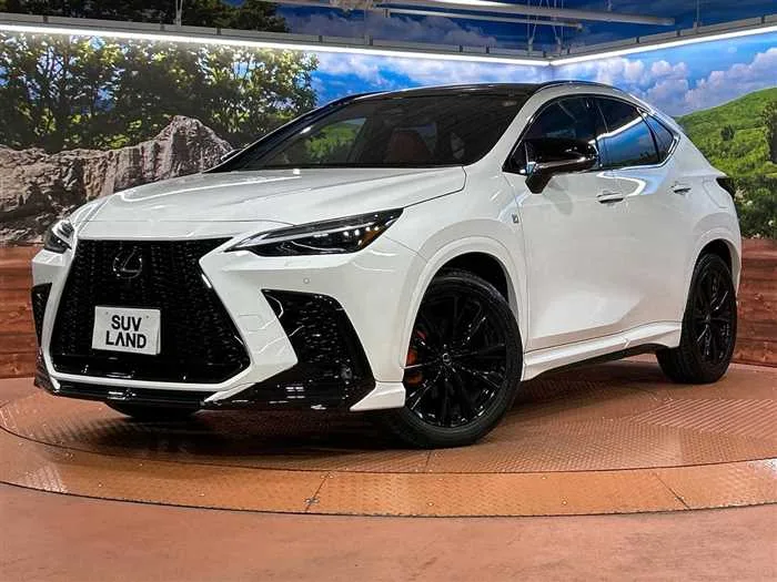 Lexus NX 2023 — фото 1, купить с доставкой в Москву