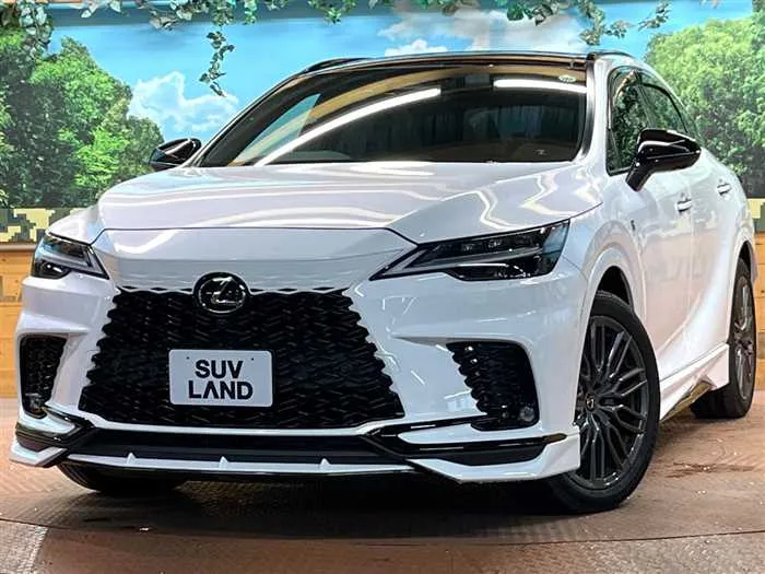 Lexus RX 2023 — фото 1, купить с доставкой в Москву