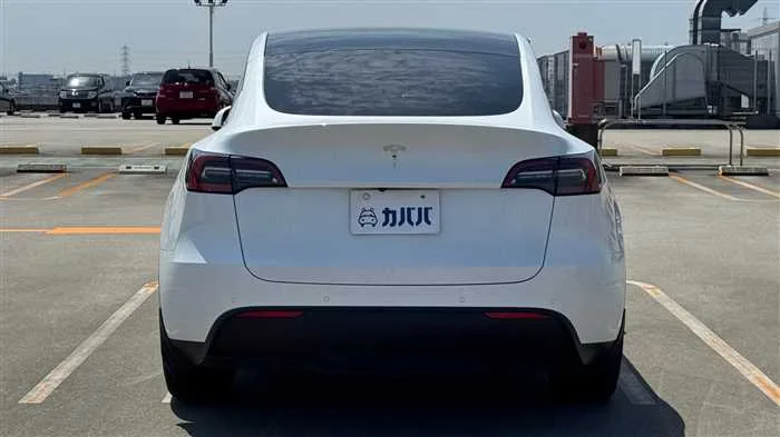 Tesla Motors Others RWD 2023 — миниатюра 4