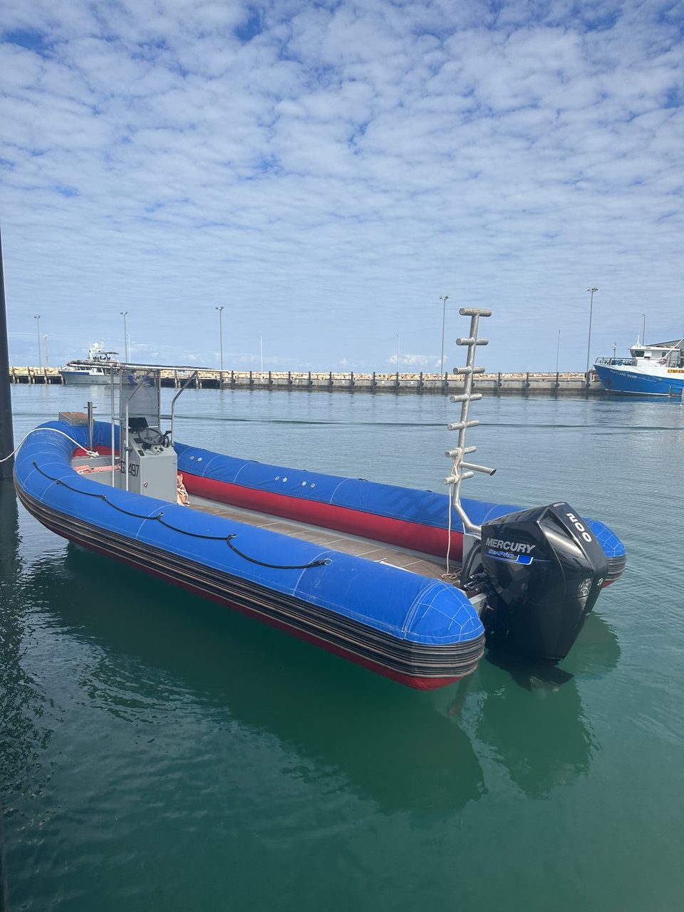 LIYA HYB 760 2023