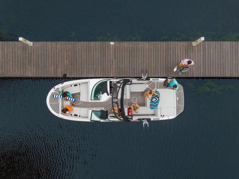 SEA RAY Surf 2026