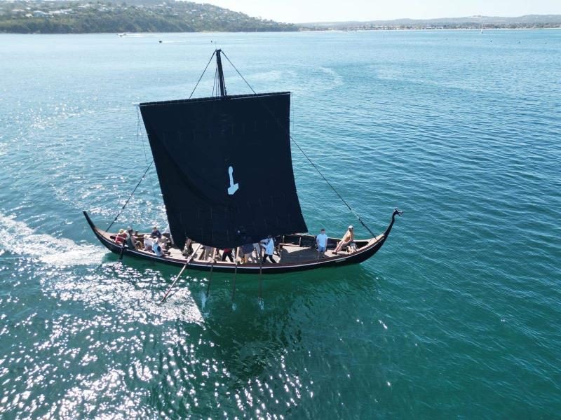 Самодельная Custom VIKING sailboat 2023